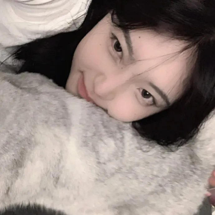 最后的飞行